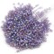Miyuki Delica Seed Bead 11/0 Matte Transparent Dark Amethyst AB